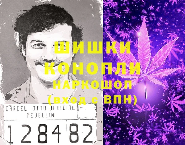 хмурый Каменка