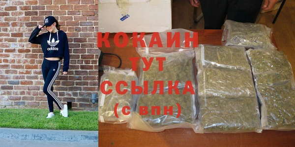 хмурый Каменка