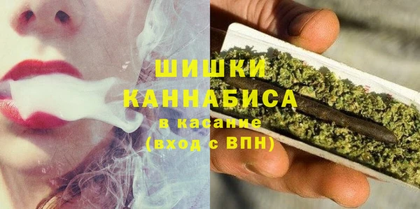 дмт Сосновоборск