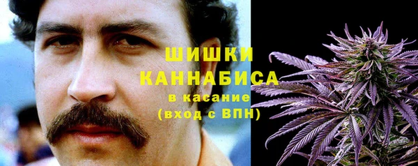 хмурый Каменка