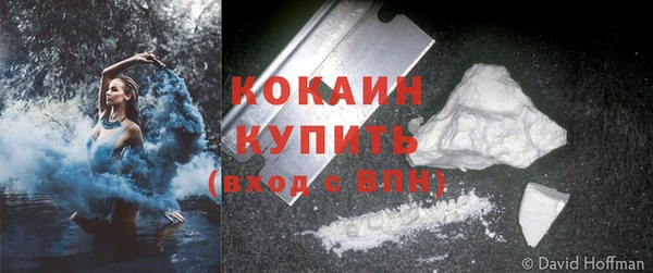 дурь Сосновый Бор