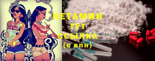 хмурый Каменка