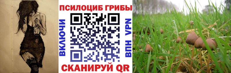 Псилоцибиновые грибы ЛСД Сосновоборск