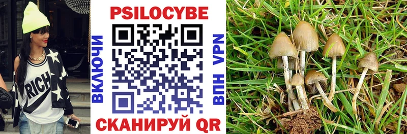 Галлюциногенные грибы Psilocybe  как найти   кракен tor  Сосновоборск 