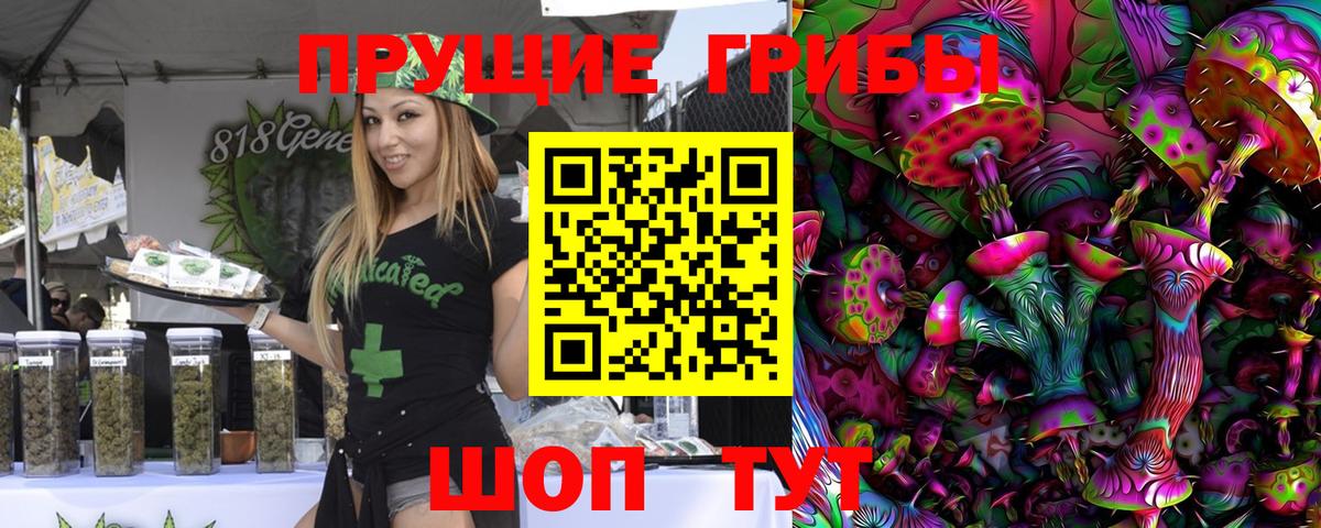 Галлюциногенные грибы Cubensis  Псилоцибиновые грибы Psilocybine cubensis  Сосновоборск  Вход с VPN 